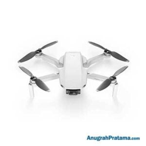 DJI Mavic Mini