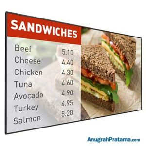 PHILIPS 42BDL5055P 42 Inch P-Line Display