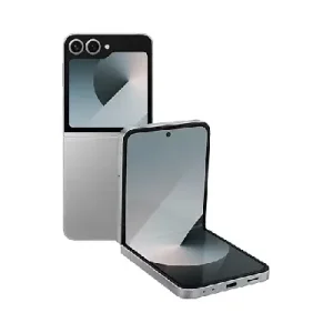 SAMSUNG Galaxy Z Flip 6 - Silver Shadow (12GB/256GB)