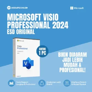 MICROSOFT Visio Professional 2024 ESD Original